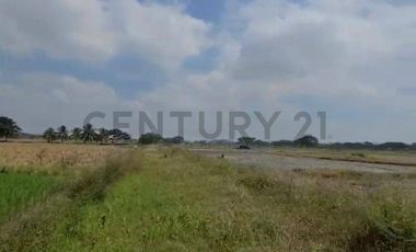 Terreno en Venta Lotización Buijo, Samborondón