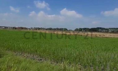 Terreno en Venta Lotización Buijo, Samborondón