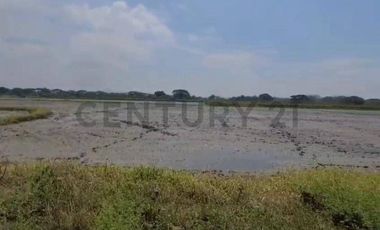 Terreno en Venta Lotización Buijo, Samborondón