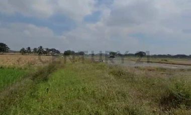 Terreno en Venta Lotización Buijo, Samborondón