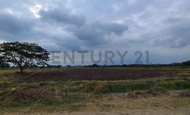 Terreno en Venta Lotización Buijo, Samborondón