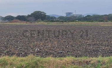 Terreno en Venta Lotización Buijo, Samborondón