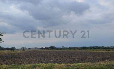 Terreno en Venta Lotización Buijo, Samborondón