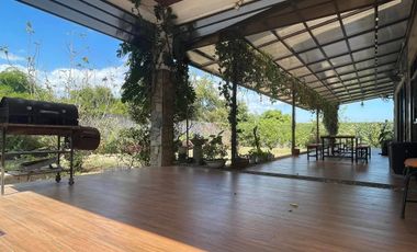 FULLY FURNISHED LARGE AND LUXURIOUS HOUSE AND LOT FOR SALE