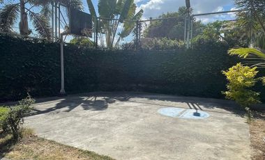 FULLY FURNISHED LARGE AND LUXURIOUS HOUSE AND LOT FOR SALE