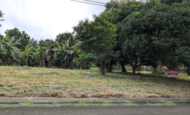 765 sqm Residential Lot for Sale in Lipa ,Batangas