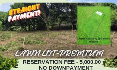 Memorial Lot in Kingdom of Peace in Antipolo