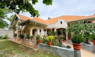 Beach House for SALE in Panglao island of Bohol Philippines Price Markdown
