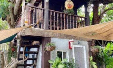 Beach House for SALE in Panglao island of Bohol Philippines Price Markdown