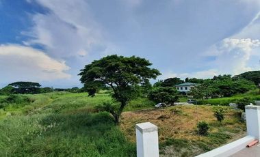 Corner Residential Lot for Sale in Holiday Park, San Pedro, Laguna
