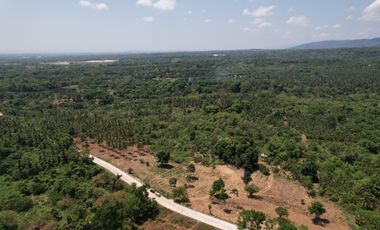 Overlooking Residential Lots For Sale in Orani, Bataan (Starts at P15k/month)