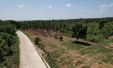 Overlooking Residential Lots For Sale in Orani, Bataan (Starts at P15k/month)