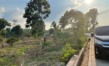 Overlooking Residential Lots For Sale in Orani, Bataan (Starts at P15k/month)