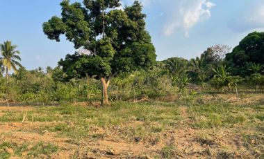 Overlooking Residential Lots For Sale in Orani, Bataan (Starts at P15k/month)