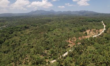 Overlooking Residential Lots For Sale in Orani, Bataan (Starts at P15k/month)