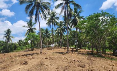 Overlooking Residential Lots For Sale in Orani, Bataan (Starts at P15k/month)