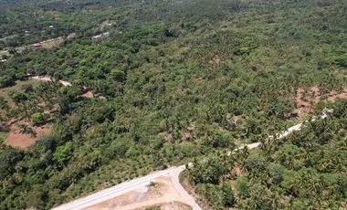 Overlooking Residential Lots For Sale in Orani, Bataan (Starts at P15k/month)