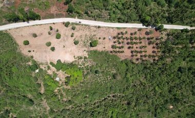 Overlooking Residential Lots For Sale in Orani, Bataan (Starts at P15k/month)