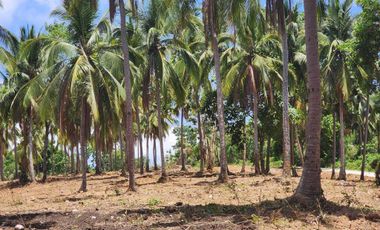 Overlooking Residential Lots For Sale in Orani, Bataan (Starts at P15k/month)