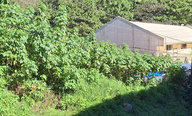 Baguio - 300 m2 Residential Lot with/in a Subdivision with view of trees at the back