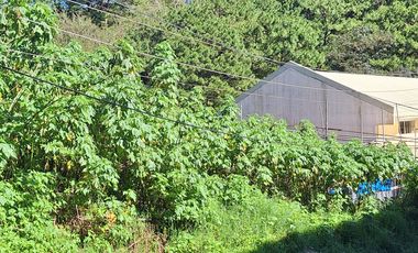 Baguio - 300 m2 Residential Lot with/in a Subdivision with view of trees at the back