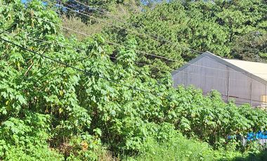 Baguio - 300 m2 Residential Lot with/in a Subdivision with view of trees at the back