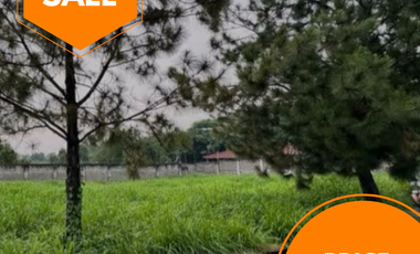 Phase 7, Portofino Heights vacant lot