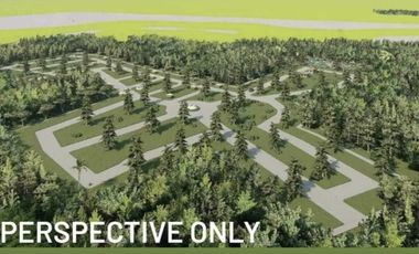 Pre-Selling Fine Tree Community Farm residential in Tayabas Quezon