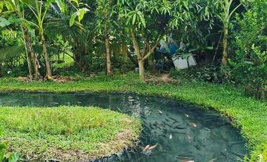 Pre-Selling Fine Tree Community Farm residential in Tayabas Quezon