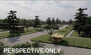Pre-Selling Fine Tree Community Farm residential in Tayabas Quezon