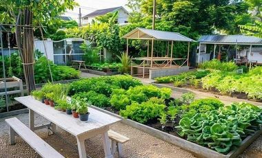 Pre-Selling Fine Tree Community Farm residential in Tayabas Quezon