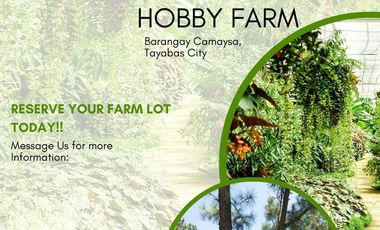 Pre-Selling Fine Tree Community Farm residential in Tayabas Quezon