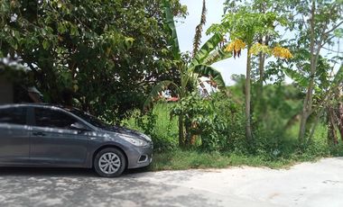 Residential Lot For Sale in San Fernando Pampanga 4.5K / sqm