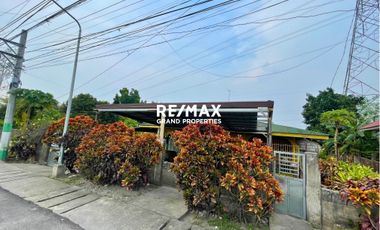 For Sale 1,000 Sqm Property in Sta Cruz Magalang Along Magalang- Arayat Road