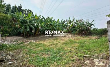 For Sale 1,000 Sqm Property in Sta Cruz Magalang Along Magalang- Arayat Road