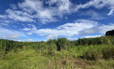14 hectare Farmland at Lanise, Claveria for Sale