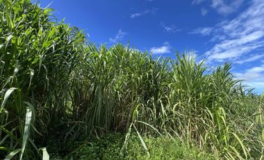 14 hectare Farmland at Lanise, Claveria for Sale