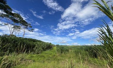 14 hectare Farmland at Lanise, Claveria for Sale