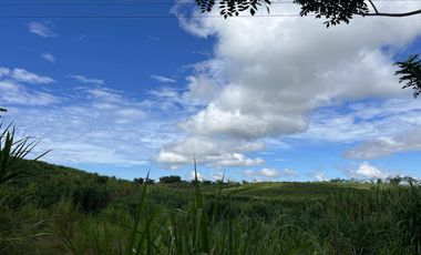 14 hectare Farmland at Lanise, Claveria for Sale