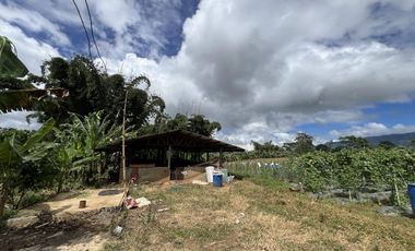 1.56 hectare Luna , Claveria Farmland for Sale
