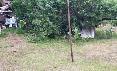 385sqm lot for sale in Tinago Dauis Panglao Island Bohol 3k per sqm