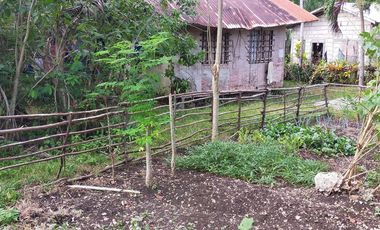 385sqm lot for sale in Tinago Dauis Panglao Island Bohol 3k per sqm