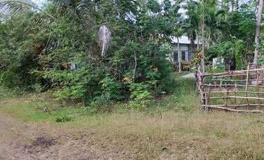 385sqm lot for sale in Tinago Dauis Panglao Island Bohol 3k per sqm