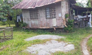 385sqm lot for sale in Tinago Dauis Panglao Island Bohol 3k per sqm