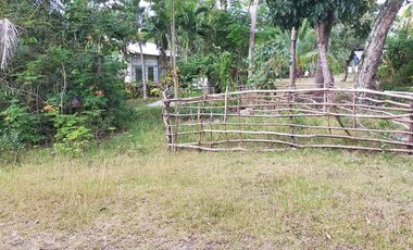 385sqm lot for sale in Tinago Dauis Panglao Island Bohol 3k per sqm