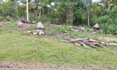 409sqm lot for sale in Tinago Dauis Panglao Bohol 3k per sqm