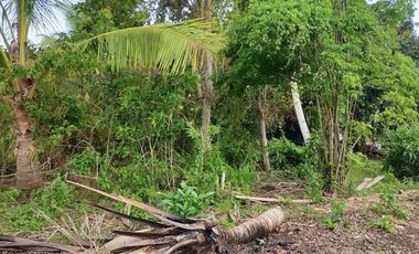 409sqm lot for sale in Tinago Dauis Panglao Bohol 3k per sqm