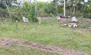 409sqm lot for sale in Tinago Dauis Panglao Bohol 3k per sqm