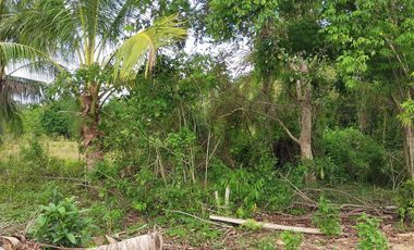 409sqm lot for sale in Tinago Dauis Panglao Bohol 3k per sqm