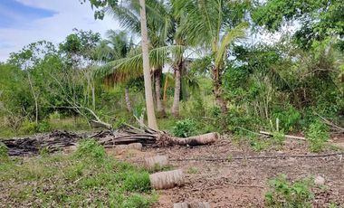 409sqm lot for sale in Tinago Dauis Panglao Bohol 3k per sqm